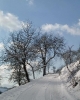 Winterfotos_3